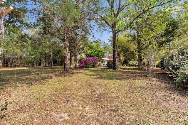 751 NE 140th Ave, Williston, FL 32696 - photo 28
