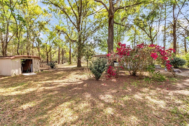 751 NE 140th Ave, Williston, FL 32696 - photo 33