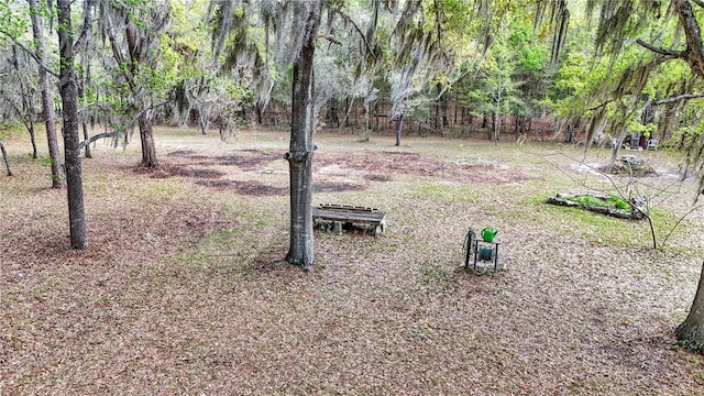 751 NE 140th Ave, Williston, FL 32696 - photo 36