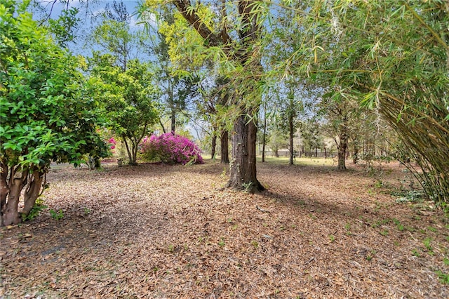 751 NE 140th Ave, Williston, FL 32696 - photo 38