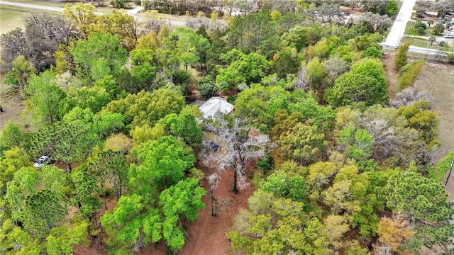 751 NE 140th Ave, Williston, FL 32696 - photo 42
