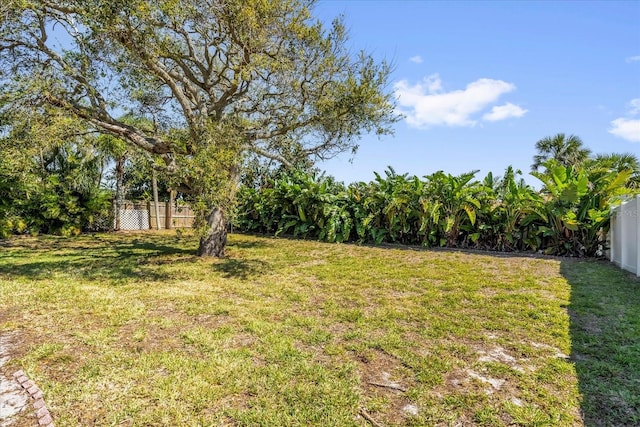 view of yard featuring fence