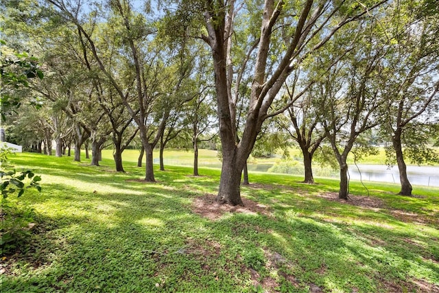 2014 Applegate Dr, Ocoee, FL 34761 - photo 38