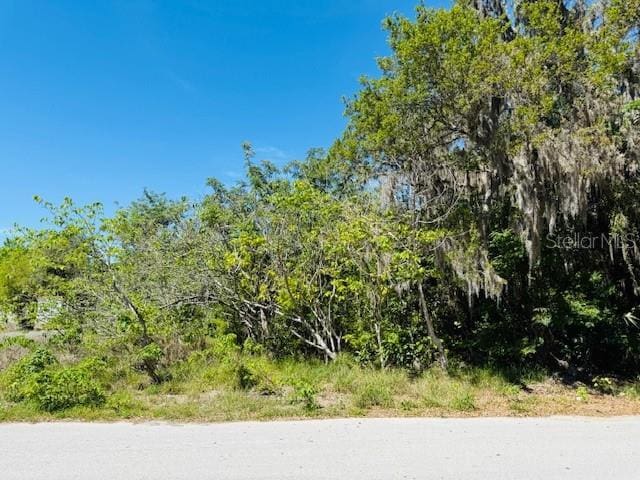 Woodbine Ln, Leesburg, FL 34748 - photo 1