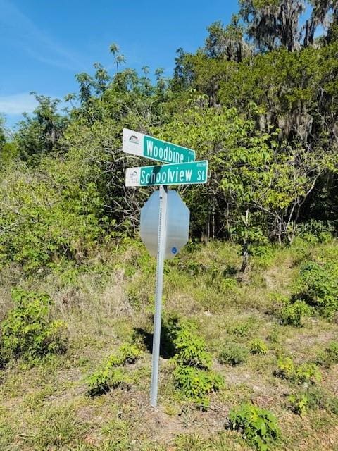 Woodbine Ln, Leesburg, FL 34748 - photo 2