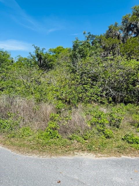 Woodbine Ln, Leesburg, FL 34748 - photo 3