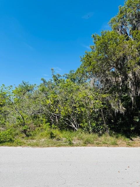 Woodbine Ln, Leesburg, FL 34748 - photo 4