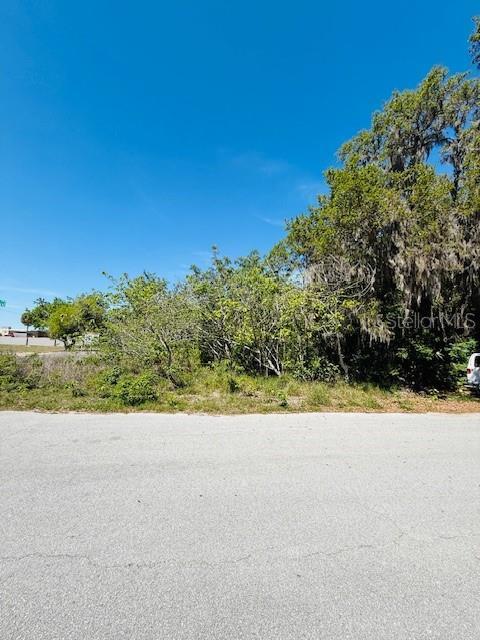 Woodbine Ln, Leesburg, FL 34748 - photo 5