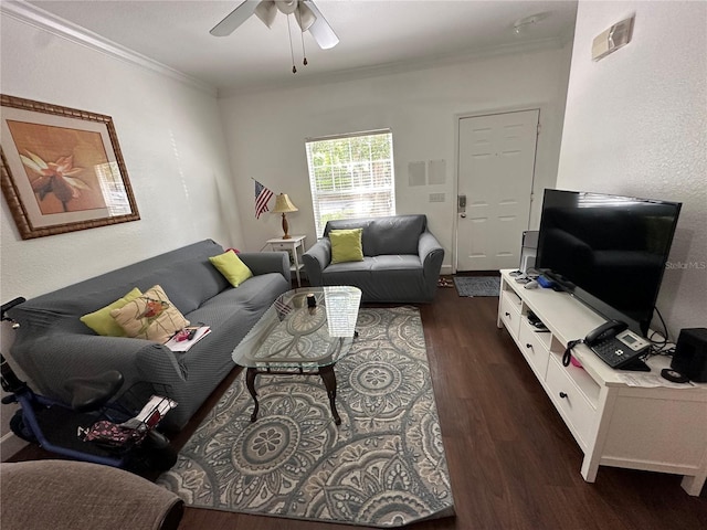 2964 Lucayan Harbour Cir Unit 106, Kissimmee, FL 34746 - living area with ornamental molding, a ceiling fan, dark wood finished floors, and a textured wall