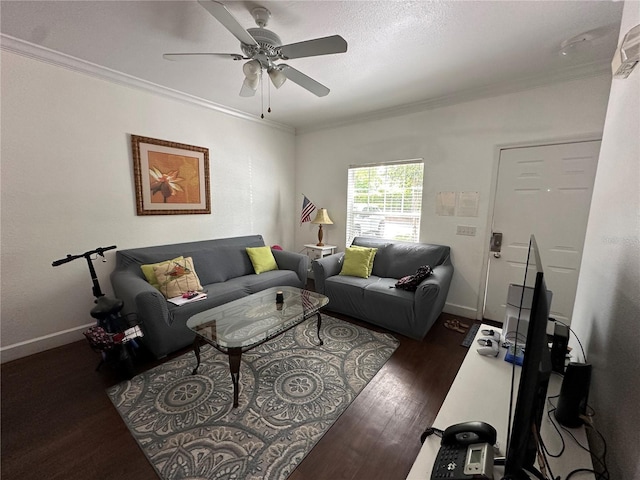 2964 Lucayan Harbour Cir Unit 106, Kissimmee, FL 34746 - living area with crown molding, baseboards, a ceiling fan, and wood finished floors