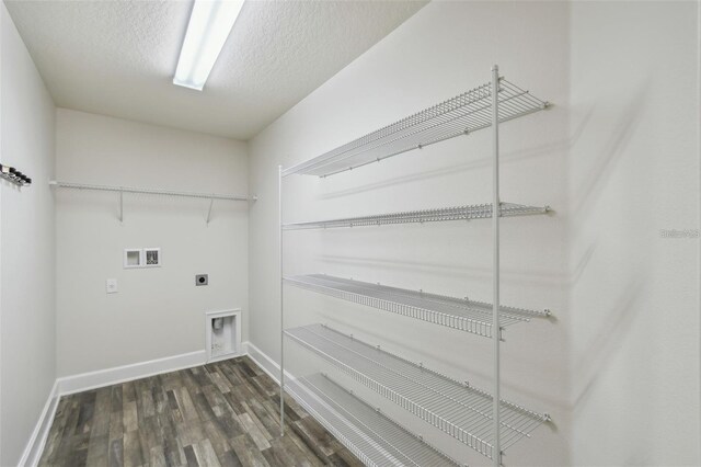 442 Big Black Pl, Kissimmee, FL 34759 - photo 20