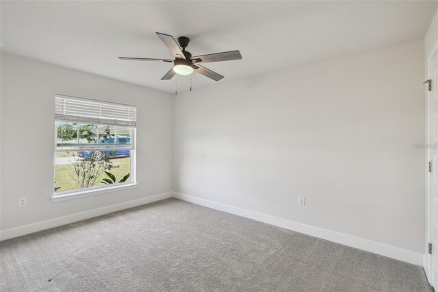 442 Big Black Pl, Kissimmee, FL 34759 - photo 21