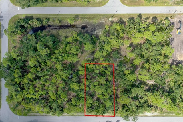 311 Munoz St, Port Charlotte, FL 33953