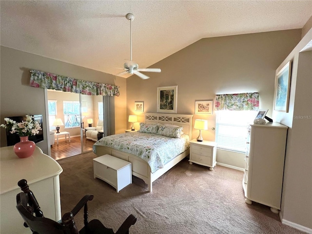 4638 River Ridge Drive, Leesburg, FL 34748 - bedroom with baseboards, lofted ceiling, a textured ceiling, and dark carpet
