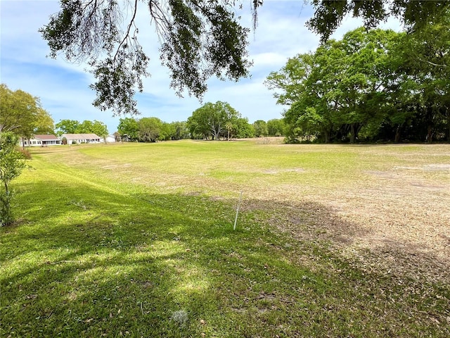 4638 River Ridge Drive, Leesburg, FL 34748 - view of yard