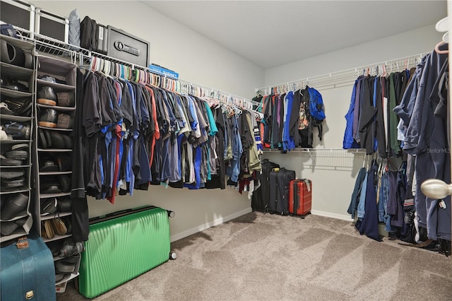 1158 Oak Bluff Dr, Davenport, FL 33837 - spacious closet with carpet flooring