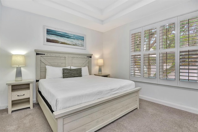 bedroom featuring baseboards, carpet, and a raised ceiling