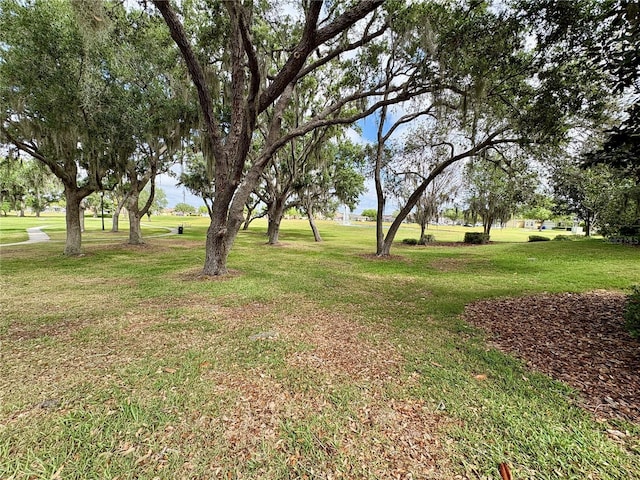 4730 Capital Blvd, Saint Cloud, FL 34769 - view of yard