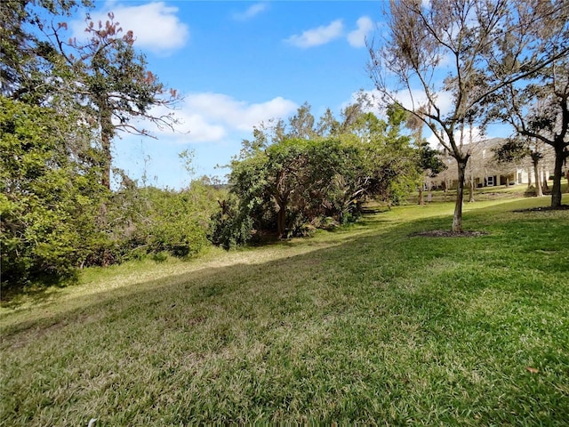8869 White Sage Loop, Lakewood Ranch, FL 34202 - view of grassy yard
