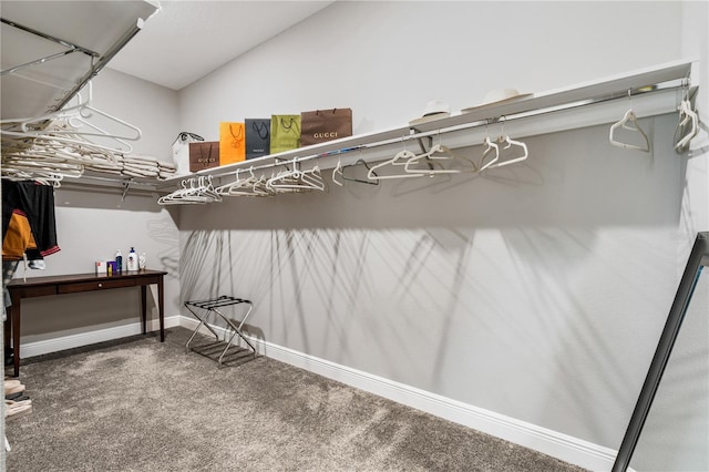 8384 Ludington Cir, Orlando, FL 32836 - spacious closet featuring vaulted ceiling and carpet flooring