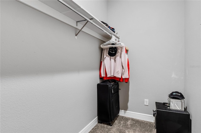 8384 Ludington Cir, Orlando, FL 32836 - spacious closet with carpet