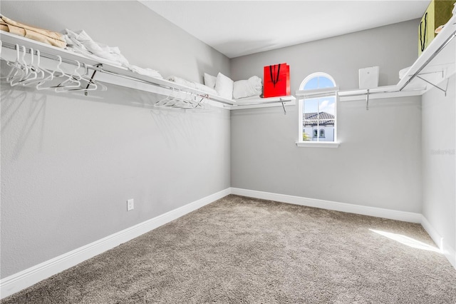 8384 Ludington Cir, Orlando, FL 32836 - walk in closet with carpet