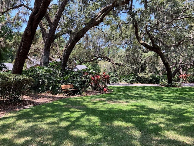 9676 Wild Oak Dr, Windermere, FL 34786 - view of grassy yard