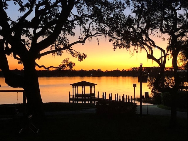 9676 Wild Oak Dr, Windermere, FL 34786 - dock area with a water view