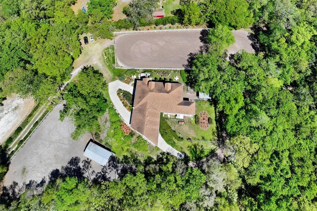bird's eye view