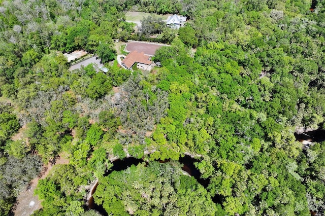 bird's eye view with a forest view