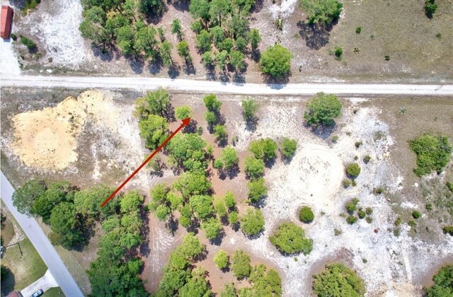 328 Tahiti Ave, Lake Placid, FL 33852 - photo 1
