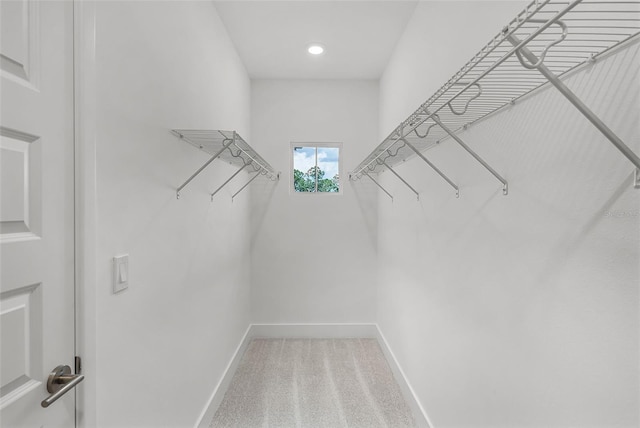 13532 Autumn Harvest Ave, Winter Garden, FL 34787 - photo 22