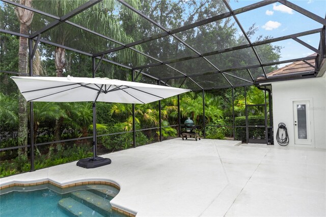 25813 Feather Ridge Ln, Sorrento, FL 32776 - swimming pool with glass enclosure and a patio