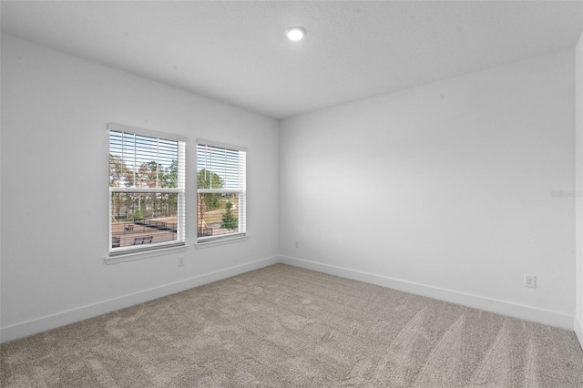 13528 Autumn Harvest Ave, Winter Garden, FL 34787 - photo 18