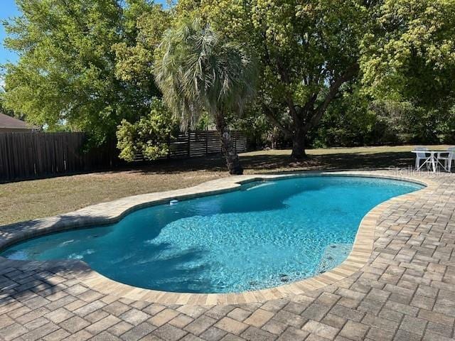 1500 Markham Woods Rd, Longwood, FL 32779 - view of pool with a patio, a fenced in pool, and fence private yard