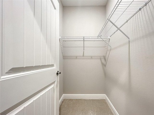 509 Mulberry St, Fruitland Park, FL 34731 - walk in closet featuring carpet