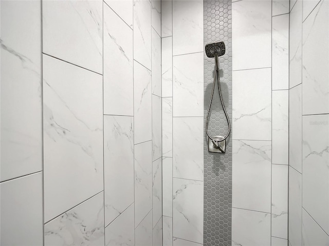 509 Mulberry St, Fruitland Park, FL 34731 - details with a tile shower