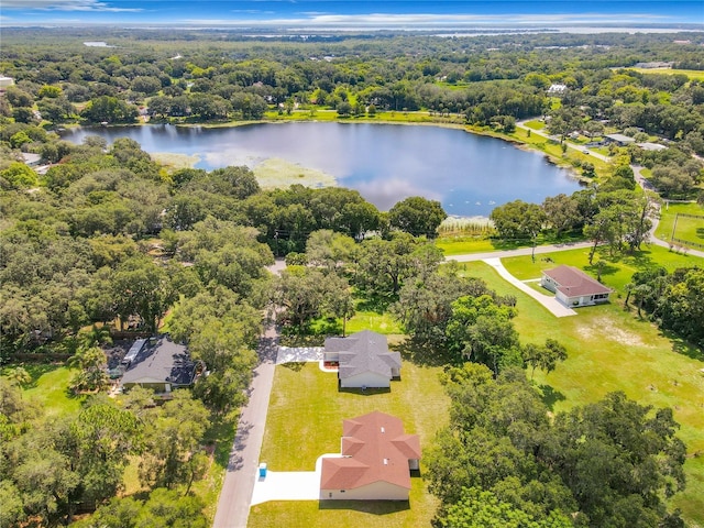 509 Mulberry St, Fruitland Park, FL 34731 - birds eye view of property with a water view