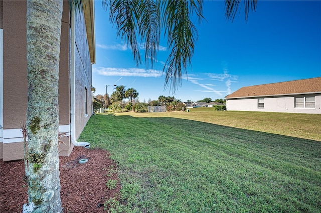 31028 Baclan Dr, Wesley Chapel, FL 33545 - view of yard