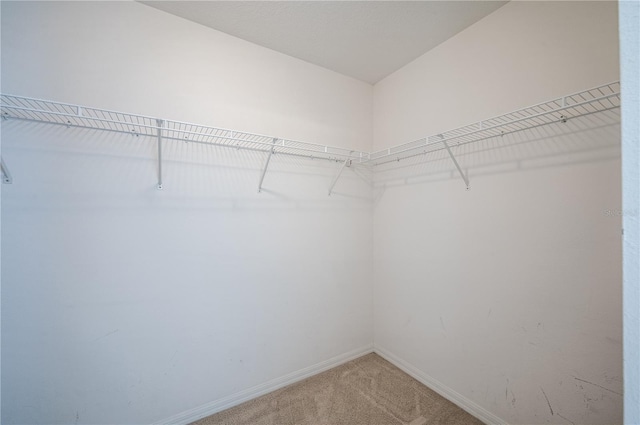 31028 Baclan Dr, Wesley Chapel, FL 33545 - spacious closet featuring light carpet