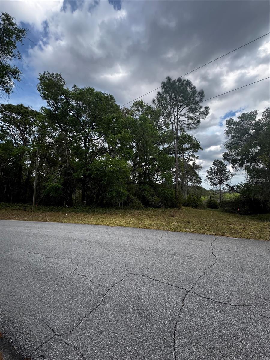 3009 Parma Dr, Deltona, FL 32738 - photo 1