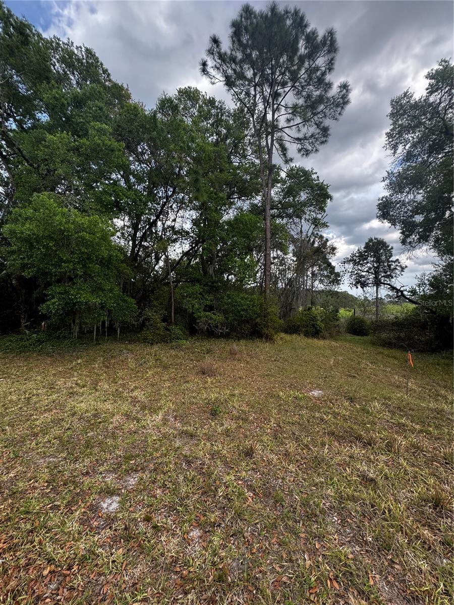 3009 Parma Dr, Deltona, FL 32738 - photo 2