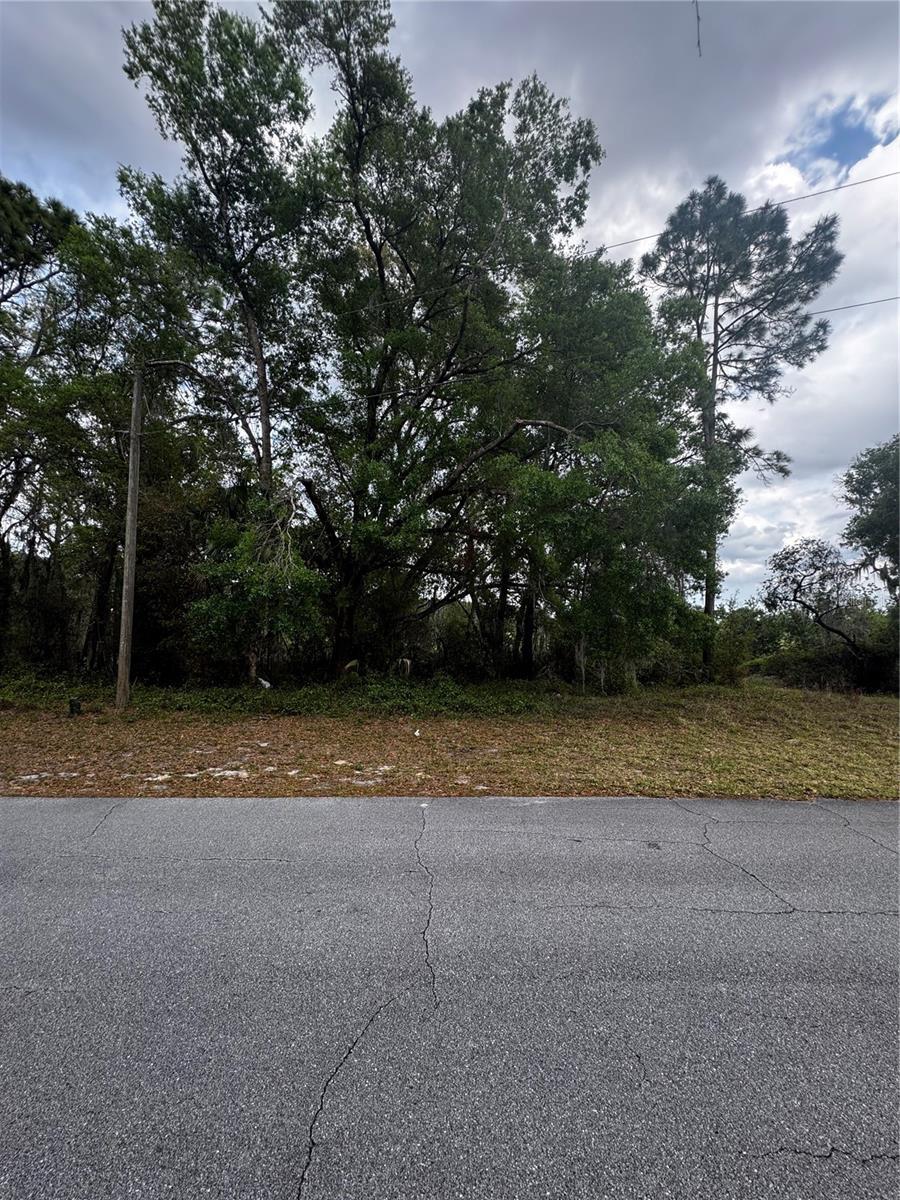 3009 Parma Dr, Deltona, FL 32738 - photo 3