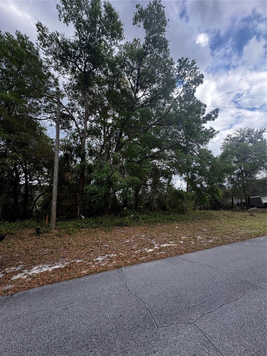 3009 Parma Dr, Deltona, FL 32738 - photo 4
