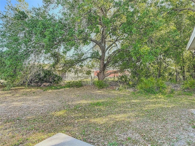 556 Hummingbird Ct, Kissimmee, FL 34759 - view of yard