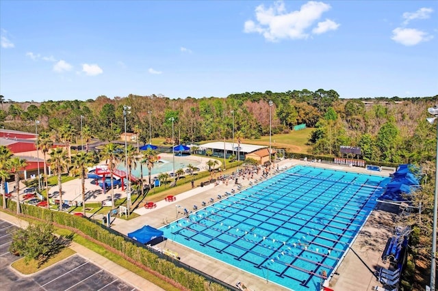 927 City Walk Ln, Oviedo, FL 32765 - view of pool