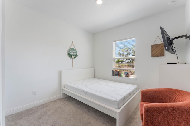 bedroom with baseboards and carpet flooring
