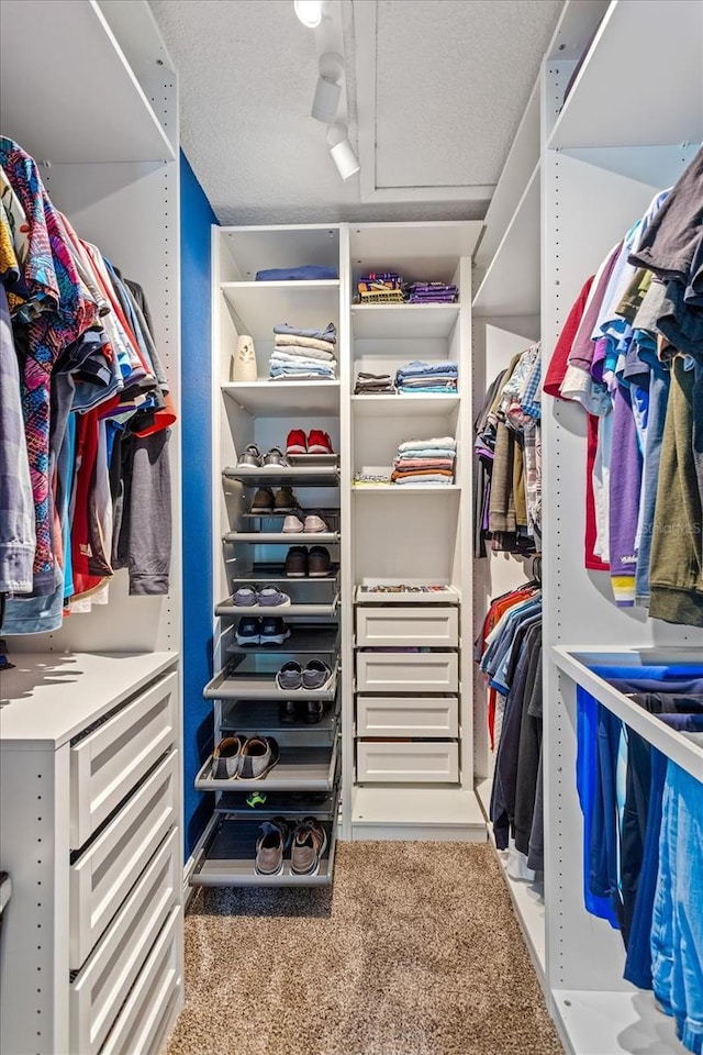 walk in closet featuring carpet floors