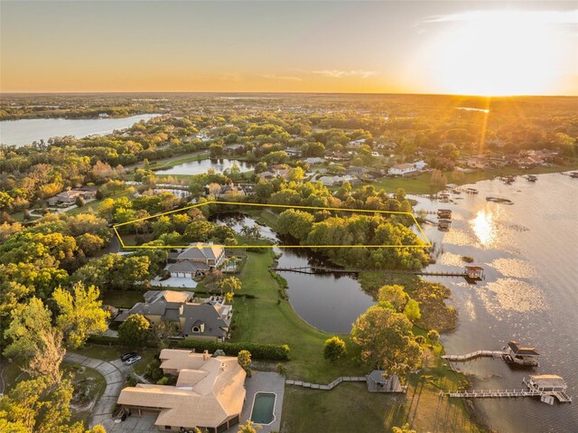 2938 Sunbittern Ct, Windermere, FL 34786