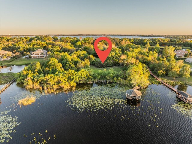 2938 Sunbittern Ct, Windermere, FL 34786